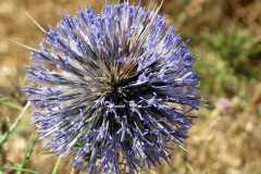 Tunesien 2009