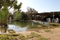 Tunesien 2010