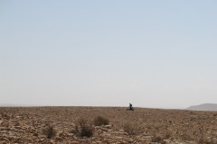 Tunesien 2010