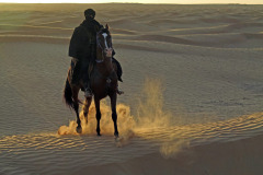 Tunesien 2013