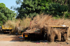 Urlaub in Südindien