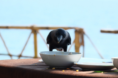 Urlaub in Südindien