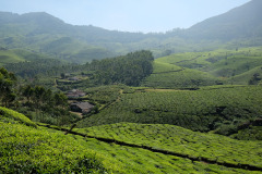 Urlaub in Südindien