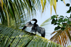 Urlaub in Südindien