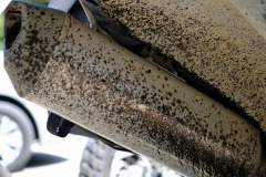 Bulgarien Tag 45 - 08 - Zeravna