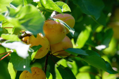 Türkei und Bulgarienreise