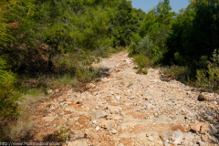 Greece on Trails 2019