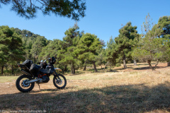 Greece on Trails 2019