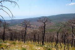 Greece on Trails 2019