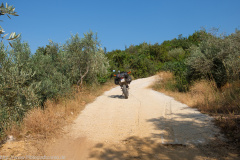 Greece on Trails 2019