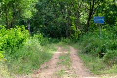 Greece on Trails 2019