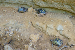 Greece on Trails 2019