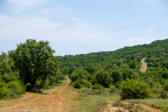 Greece on Trails 2019