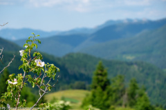 Greece on Trails 2019