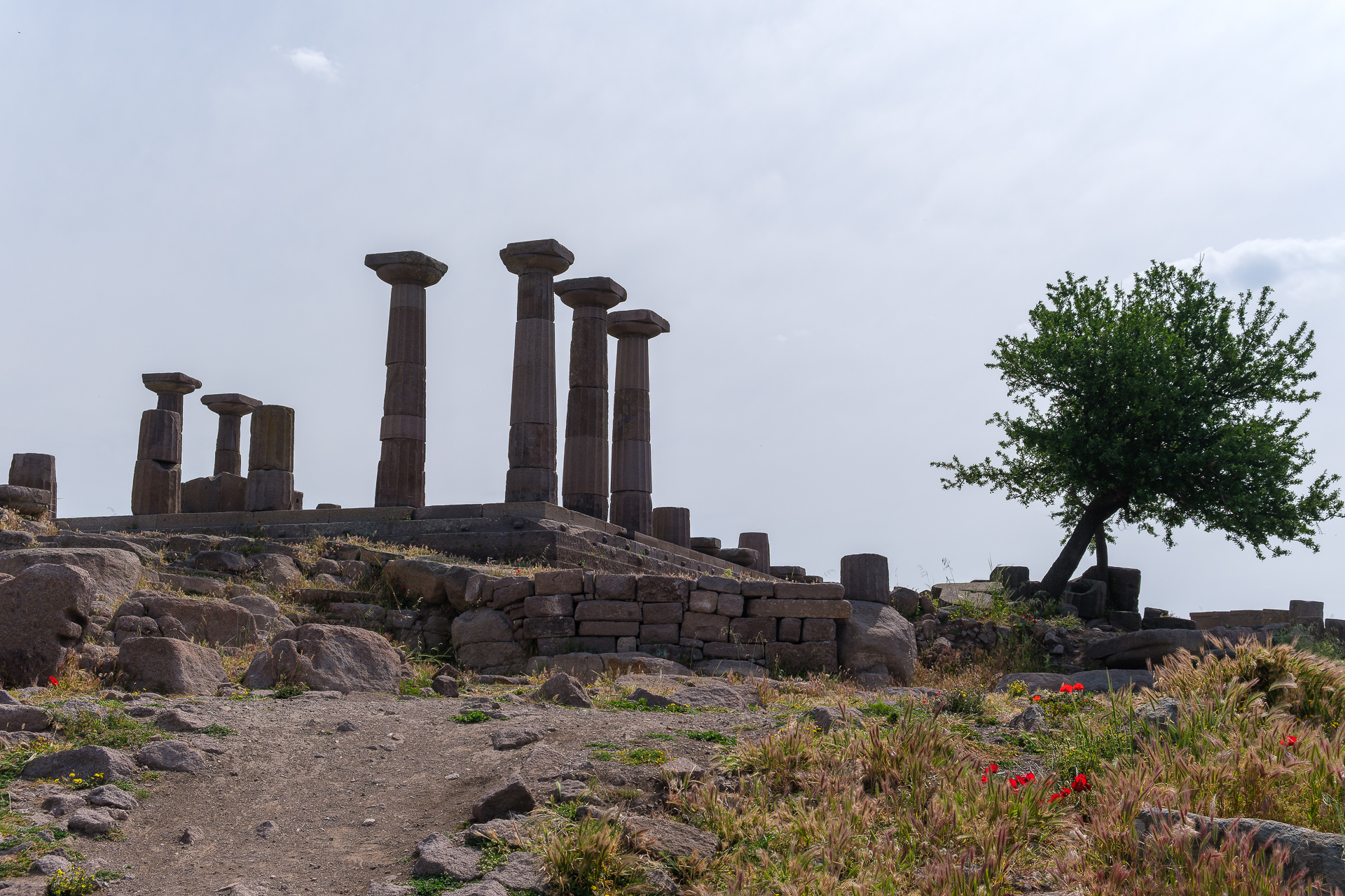 Assos Tempel der Athena